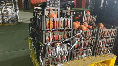 مخدرات شحنة "الرمان".. لبنان يعلّق على قرار السعودية ومسؤول يتهم السوريين