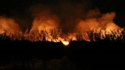 بالفيديو.. حريق هائل في مدينة "بوشهر" الإيرانية