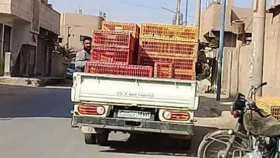 ميليشيات "الحشد الشعبي" ترفع أسعار لحوم الدجاج في سوريا بتهريبها إلى العراق