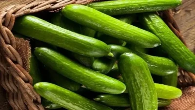 تفسير رؤية الخيار في المنام ما علاقة الخير والرزق