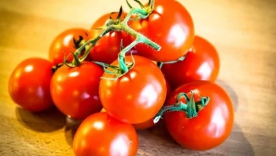 تفسير الطماطم في المنام: زواج، رزق، أم تحذير؟