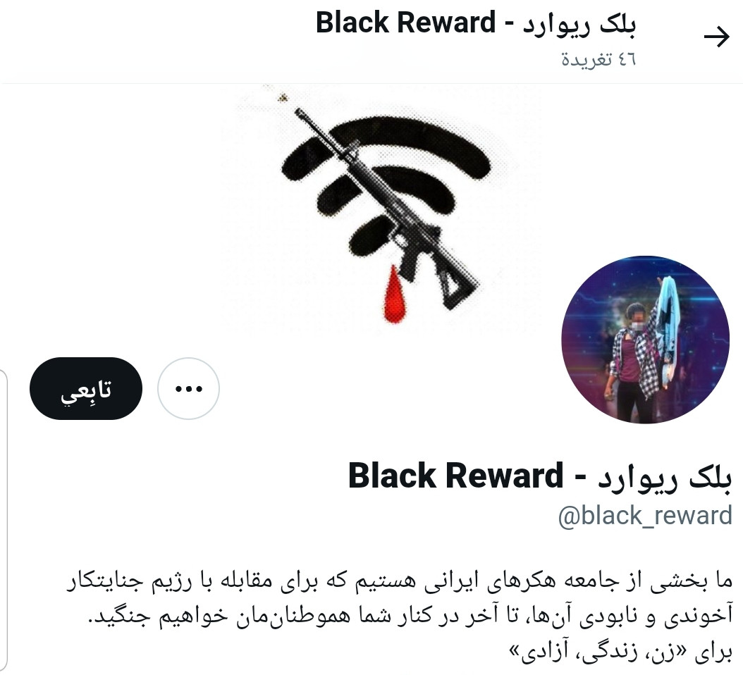 قراصنة إيرانيون ينفذون تهديدهم وينشرون بيانات سرية عن محطة بوشهر النووية