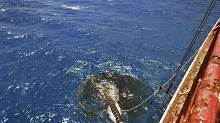 اليمن.. كارثة صافر تهدد البحر الأحمر