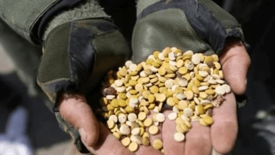 ضبط مستودع ضخم يحتوي على 60 مليون حبة كبتاغون في اللاذقية: تفاصيل عملية نوعية تكشف أبعاد تجارة المخدرات في سوريا