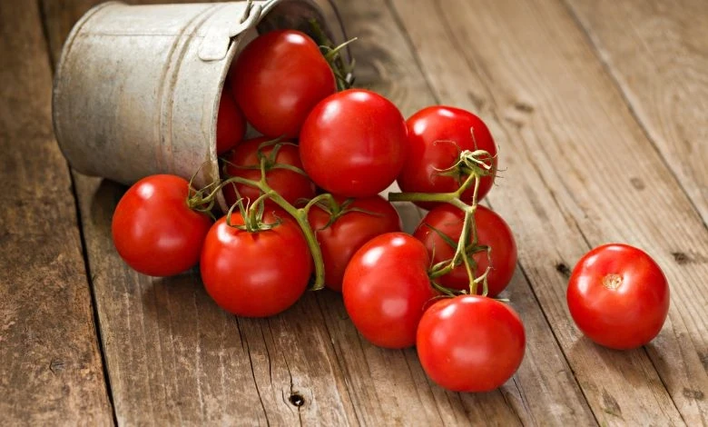 تفسير رؤية الطماطم في المنام للعزباء