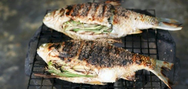 تفسير حلم السمك المشوي للمتزوجة: دلالات الخير والرزق