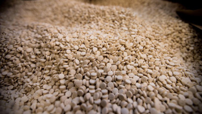 بريطانيا: عائدات تجارة الكبتاغون لنظام الأسد تبلغ نحو 57 مليار دولار أميركي سنويا