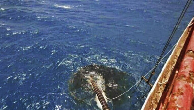 اليمن.. كارثة صافر تهدد البحر الأحمر