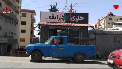 برعاية إيران و"حـزب الله".. "الماريجوانا" تغزو السويداء السورية