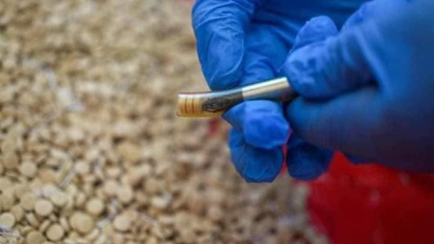 مخبأة بطريقة احترافية.. السعود...