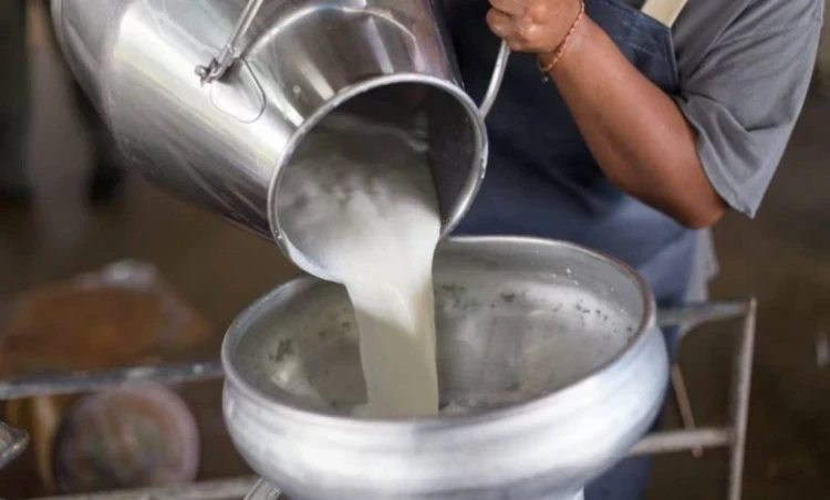 تراجع أسعار مشتقات الحليب في الأسواق: دعم محلي لتحسين معيشة المواطنين