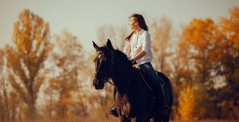 تفسير حلم ركوب الخيل في المنام: تأويلات ابن سيرين، النابلسي، وابن شاهين للمتزوجة، العزباء، الحامل، والمطلقة